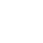 radial-1.png
